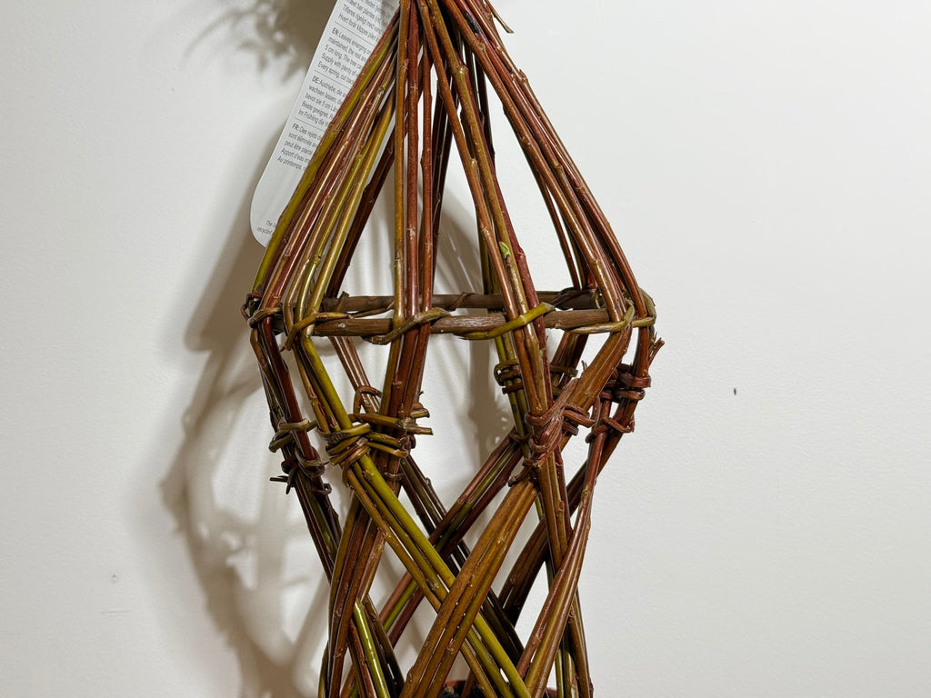 Salix Hybrid Americana Living Braided Willow Tree Sculpture 50cm, 15cm pot (50-01)