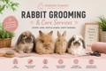 Long-Haired & Heavy Coat Rabbit Groom | Hebburn Bunnies