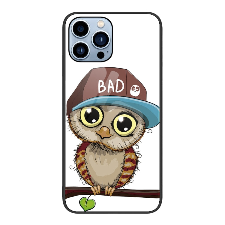 Colorful Painted Glass Phone Case, For iPhone 13 Pro