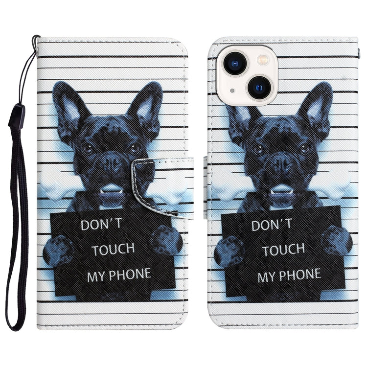 Colored Drawing Leather Phone Case, For iPhone 14