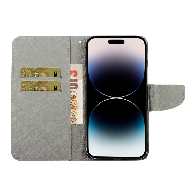 Colored Drawing Leather Phone Case, For iPhone 14 Pro Max
