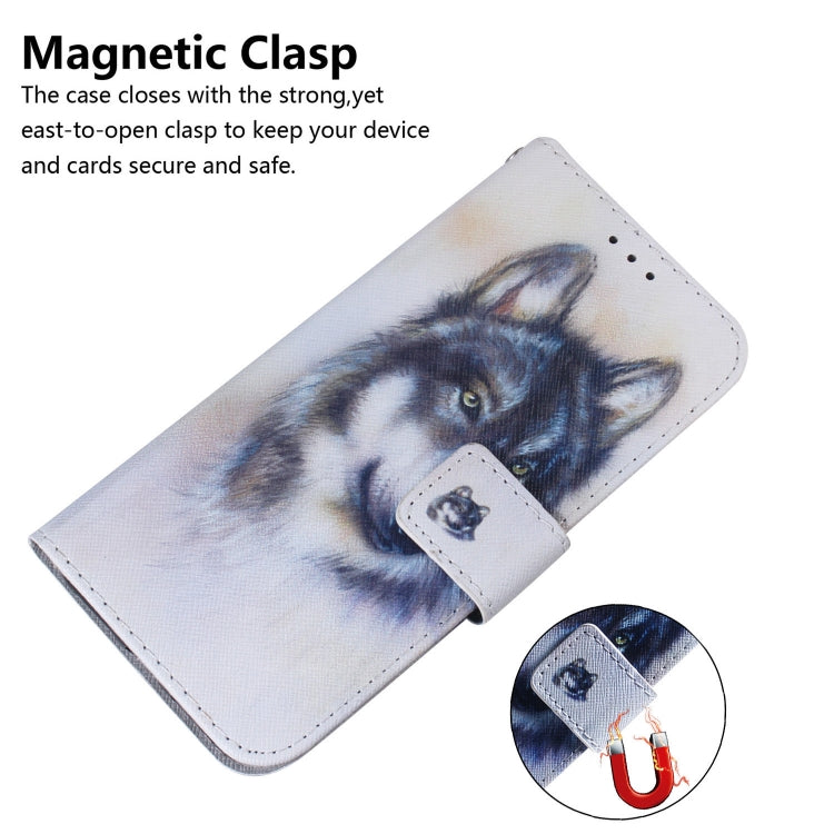 Coloured Drawing Horizontal Flip Leather Case, with Holder & Card Slots & Wallet, For Samsung Galaxy Note 20, For Samsung Galaxy Note 20 Ultra