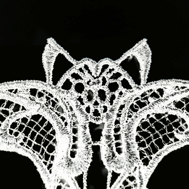 Halloween Masquerade Party Dance  Sexy Lady Lace Bat Mask, Bat