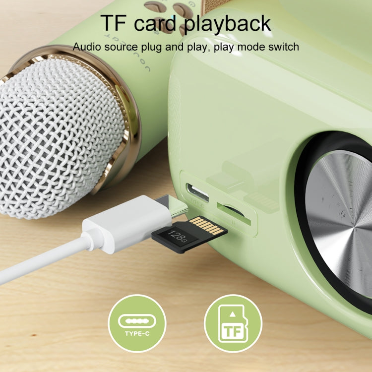 C20 Plus Multifunctional Karaoke Bluetooth Speaker With Microphone (Green)