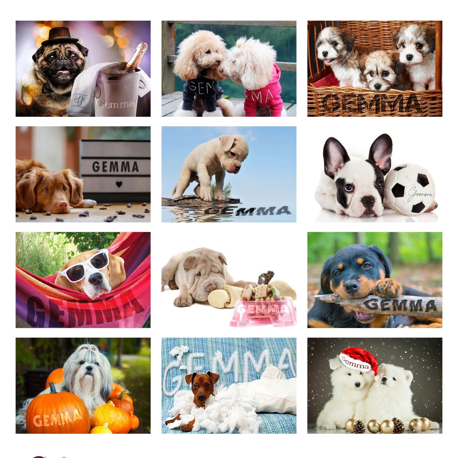 Personalised 2026 Barking Mad Dog Desk Calendar