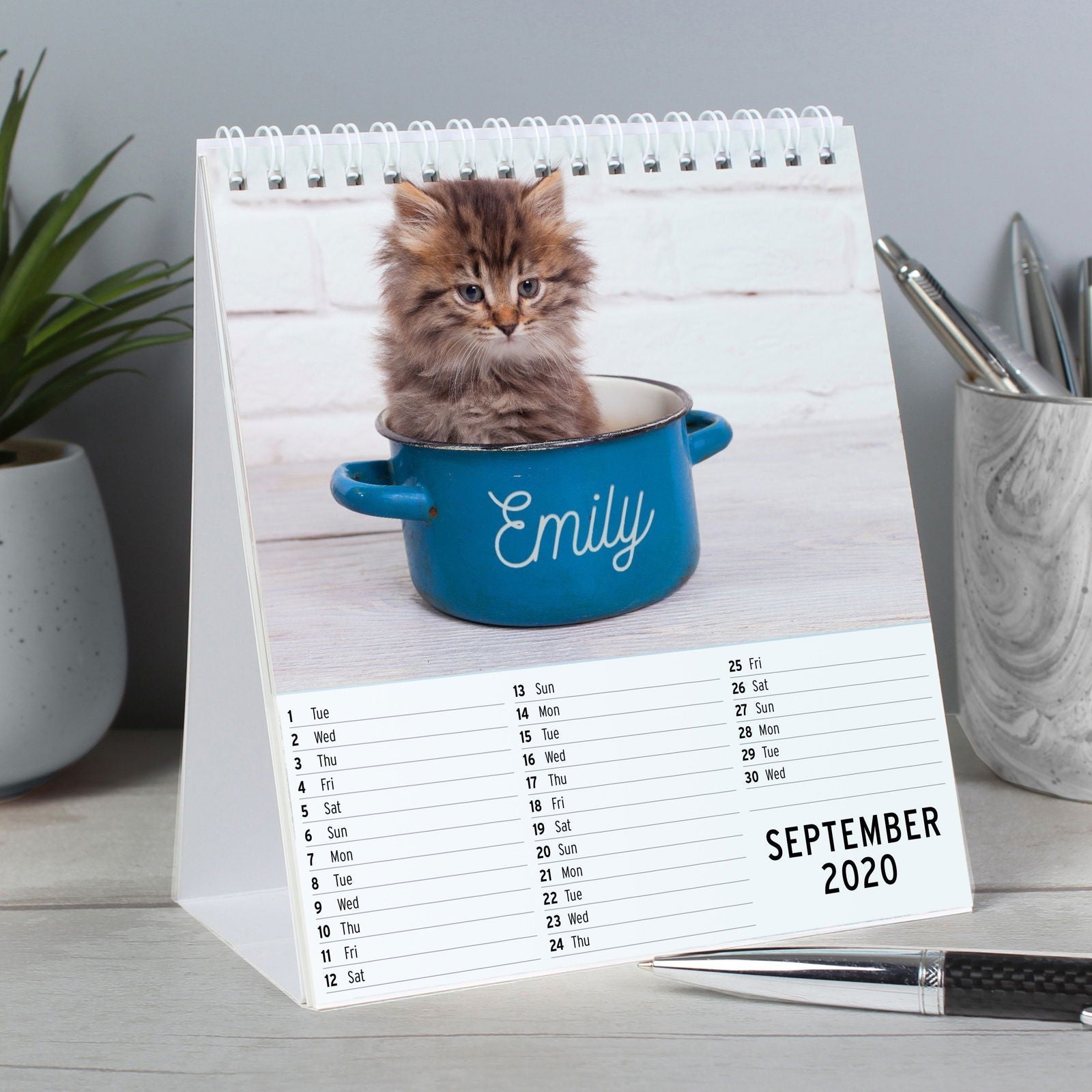 Personalised 2026 Cats And Kittens Desk Calendar