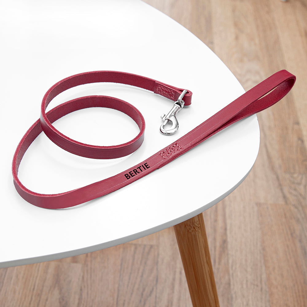 Personalised Classic Red Leather Dog Lead