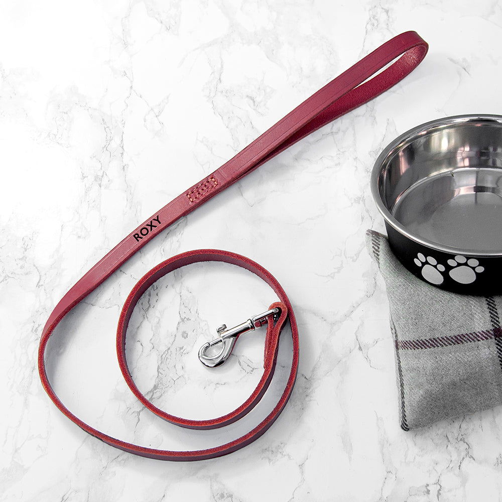 Personalised Classic Red Leather Dog Lead