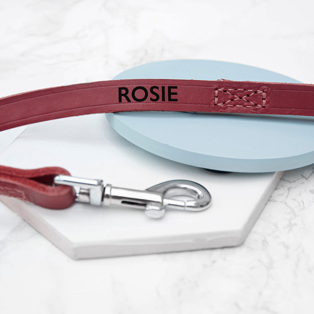 Personalised Classic Red Leather Dog Lead