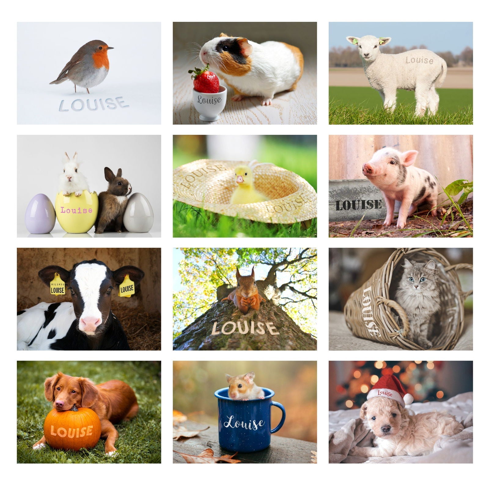 Personalised Cute Animals Desk 2026 Calendar