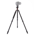 Triopo MT-2504C Adjustable Portable Aluminum Tripod with NB-1S Ball Head for Canon Nikon Sony DSLR Camera, MT-2504C (Black), MT-2504C (Gold)