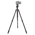 Triopo GT-2504X8.C Adjustable Portable Carbon Fiber Tripod with B-1 Aluminum Ball Head for Canon Nikon Sony DSLR Camera, GT-2504X8.C (Black), GT-2504X8.C (Gold)