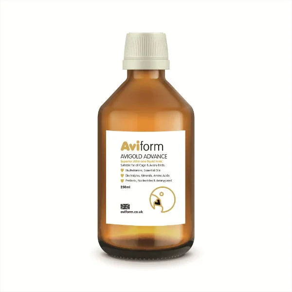 Avigold Advance All In One Liquid Birds Tonic 250ml