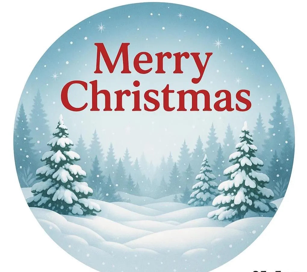 Christmas Edible Cake Topper Set | Personalised Festive Cake Decoration | Wafer or Icing | Big Sals