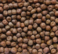 Johnston & Jeff  Maple Peas