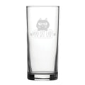 Mad Cat Lady - Engraved Novelty Hiball Glass