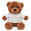 Personalised Personalised Boy's Teddy Bear