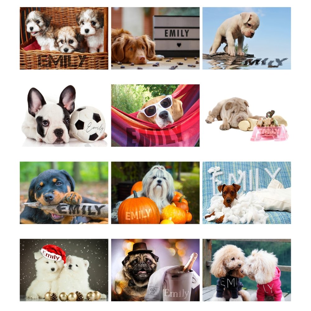 Personalised 2026 A4 Barking Mad Calendar