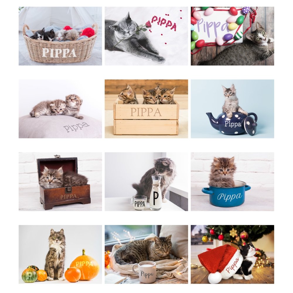 Personalised 2026 A4 Cats & Kittens Calendar