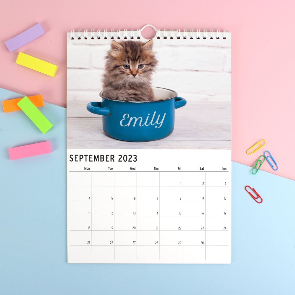 Personalised 2026 A4 Cats & Kittens Calendar