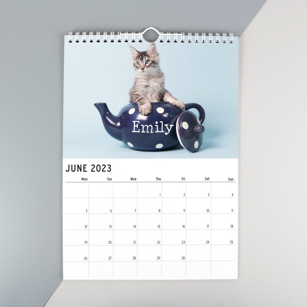 Personalised 2026 A4 Cats & Kittens Calendar