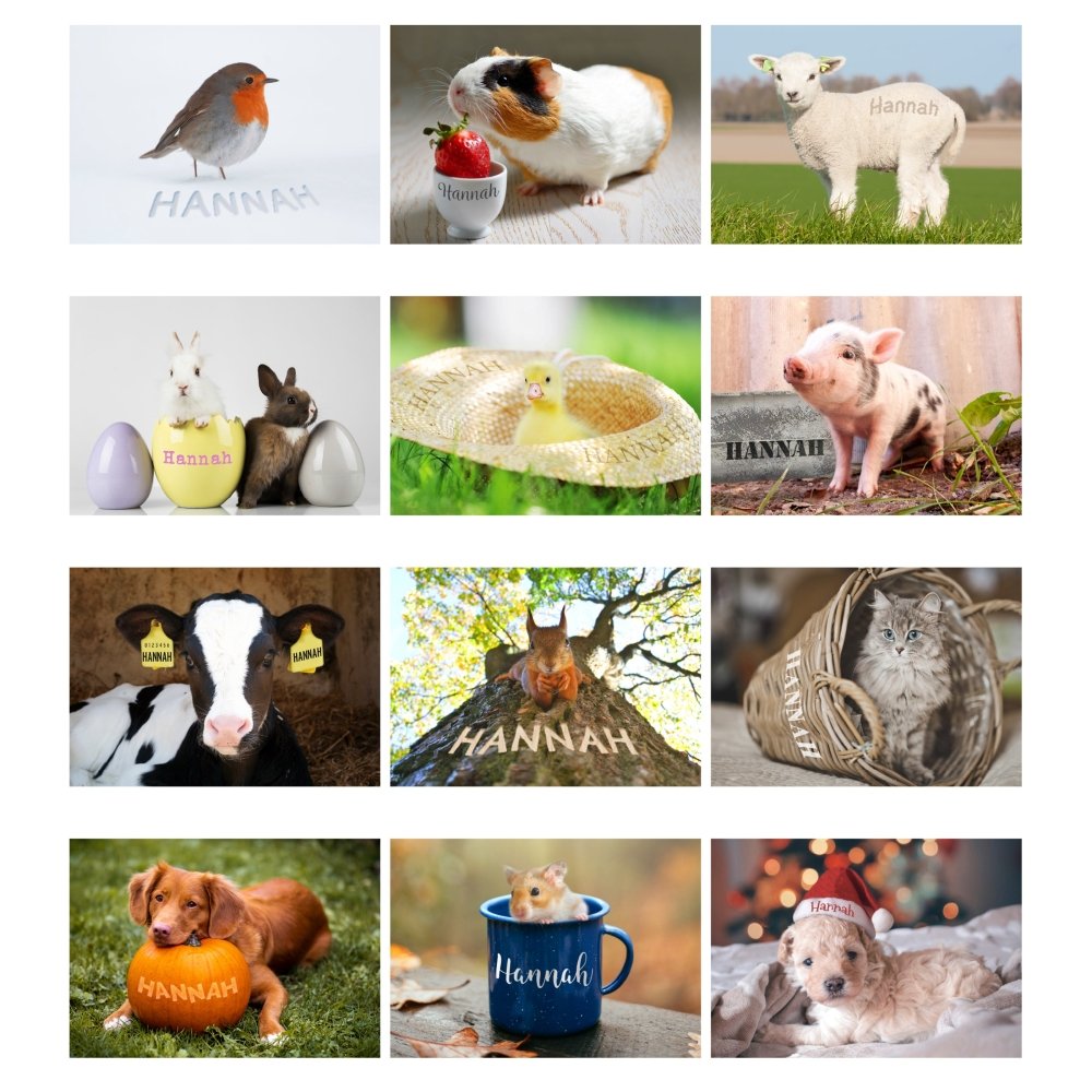 Personalised A4 Cute Animals 2026 Calendar
