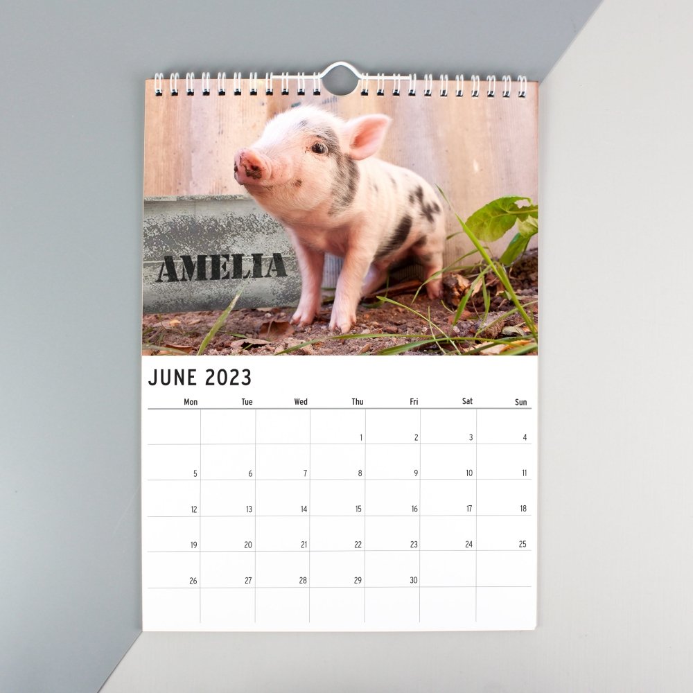 Personalised A4 Cute Animals 2026 Calendar