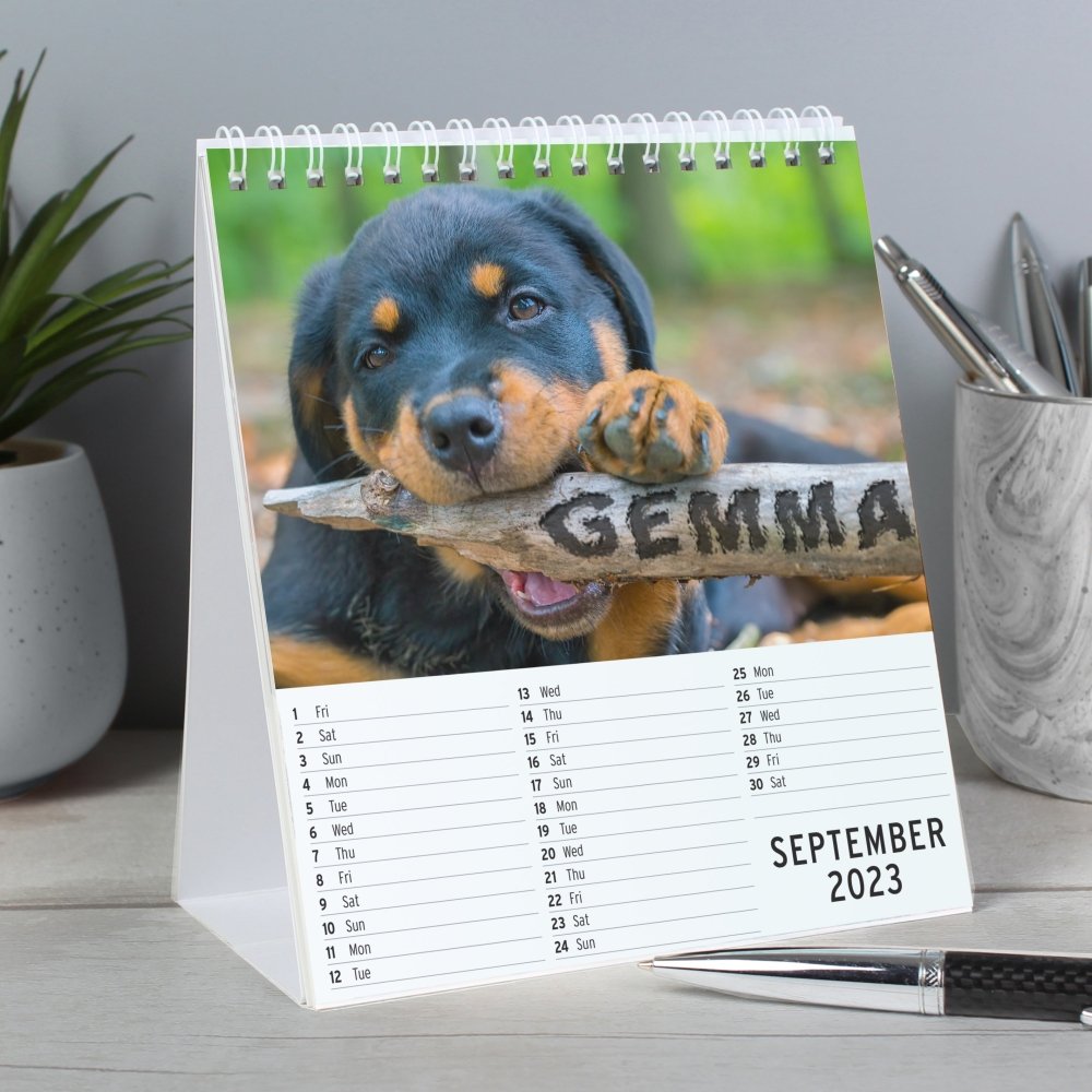 Personalised Barking Mad Dog Desk 2026 Calendar