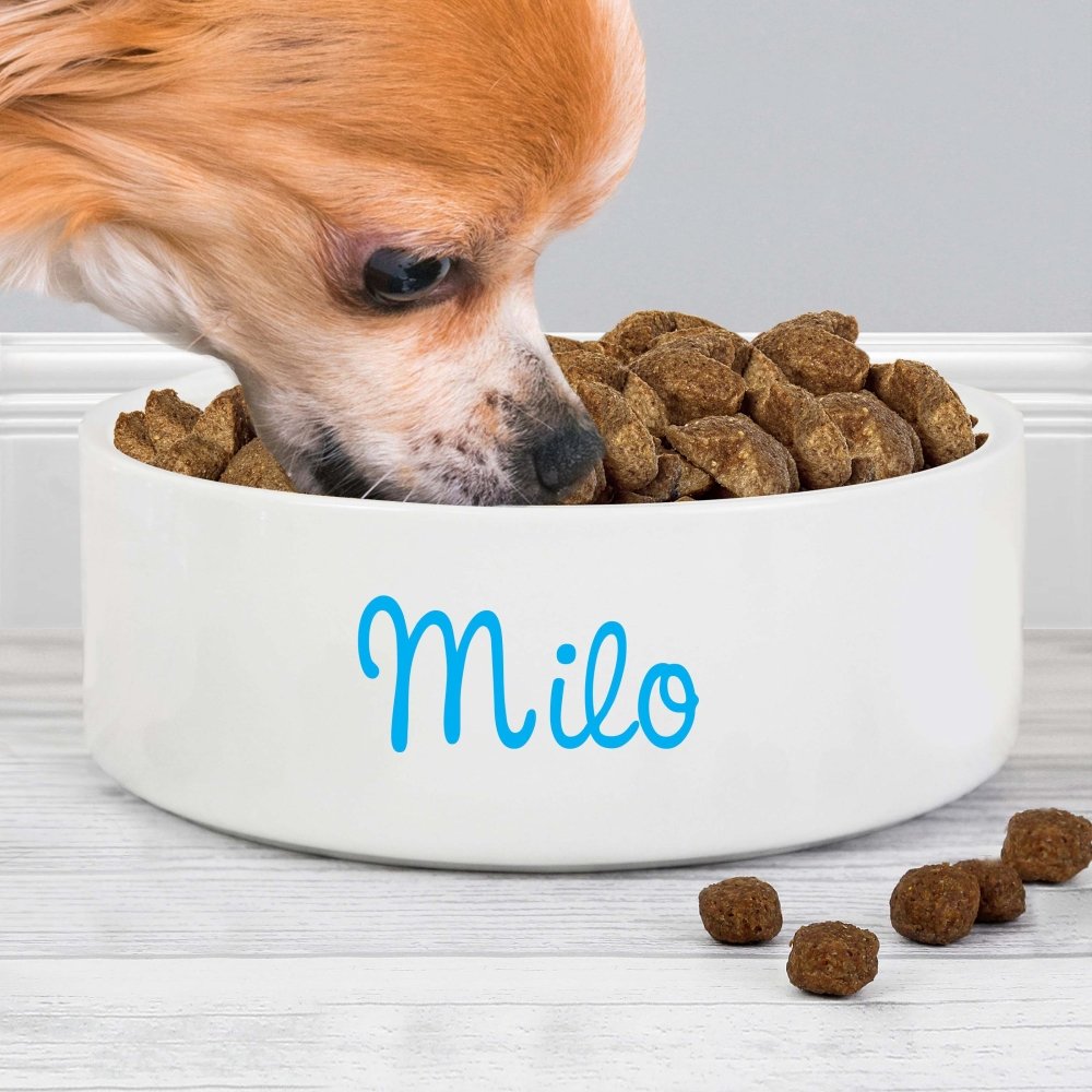 Personalised Blue Name 14Cm Medium Pet Bowl For Dogs And Cats