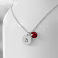 Personalised Personalised Monogram Silver Birthstone Crystal and Disc