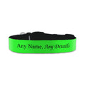 Personalised Small Dog Collar with Green Background