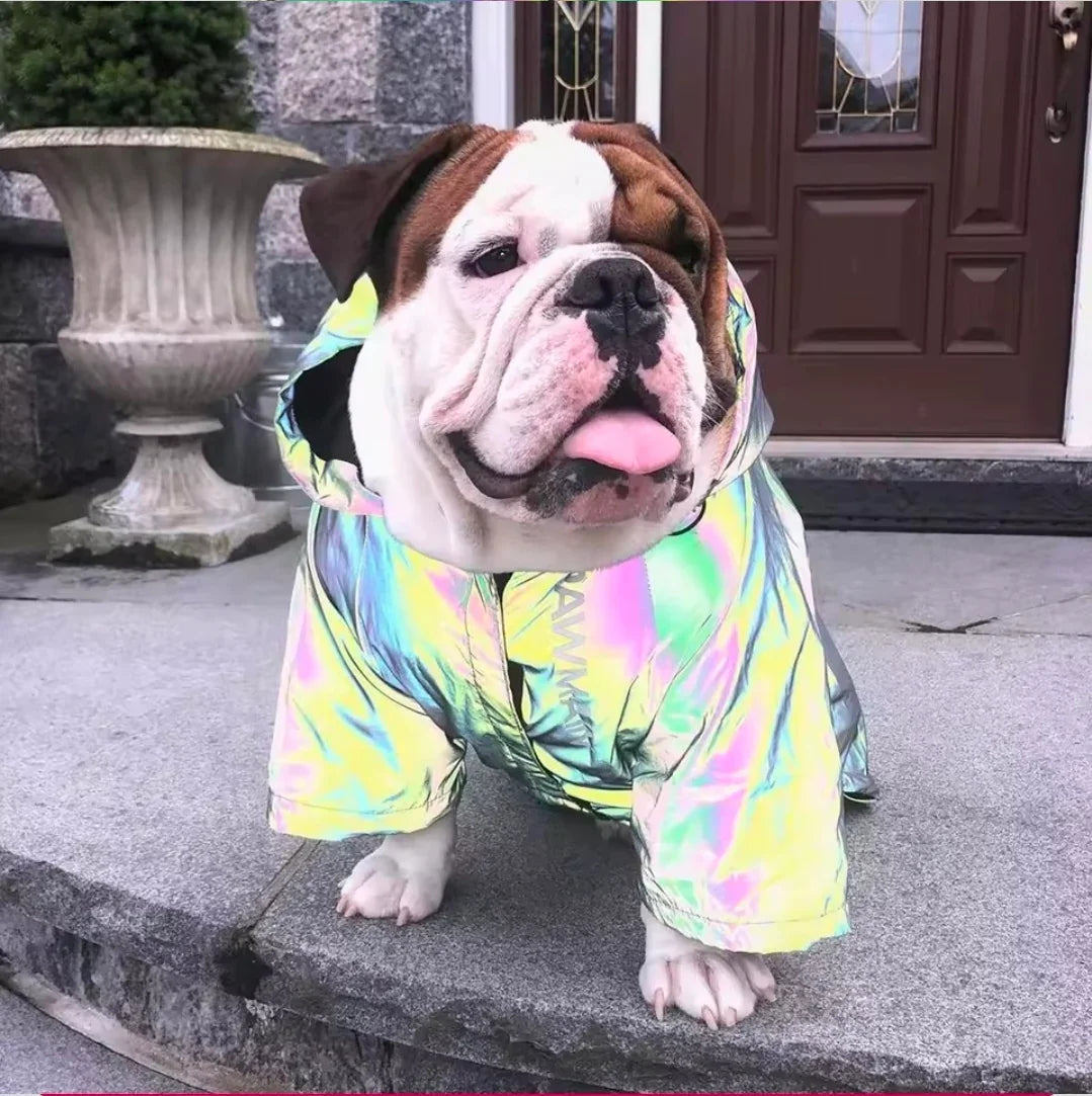 Dog Shack Flash!! Dog Coat