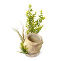 Rosewood Roman Air Diffuser x3
