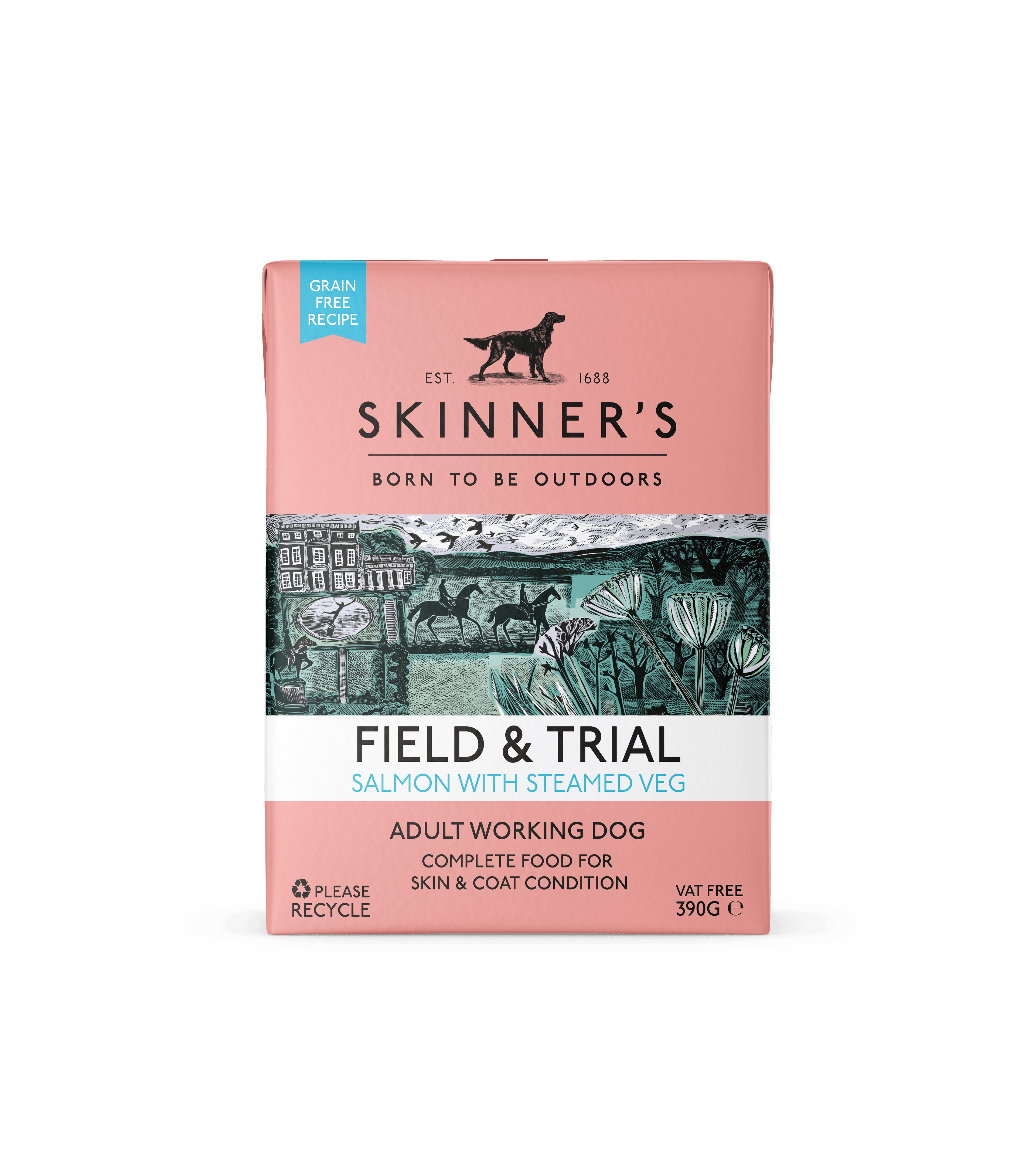 Skinners Field & Trial Adult Grain Free Salmon 18x390g