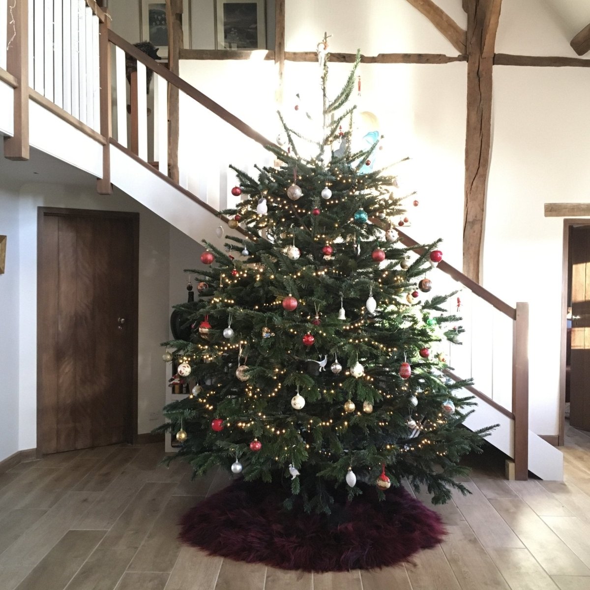 Ultimate Christmas Tree Skirt | Icelandic Sheepskin Burgundy