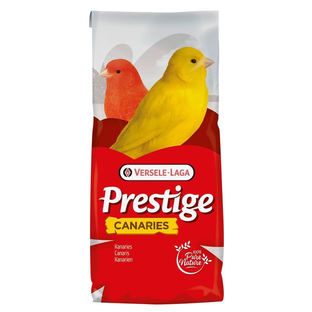 Versele Laga Canary Prestige