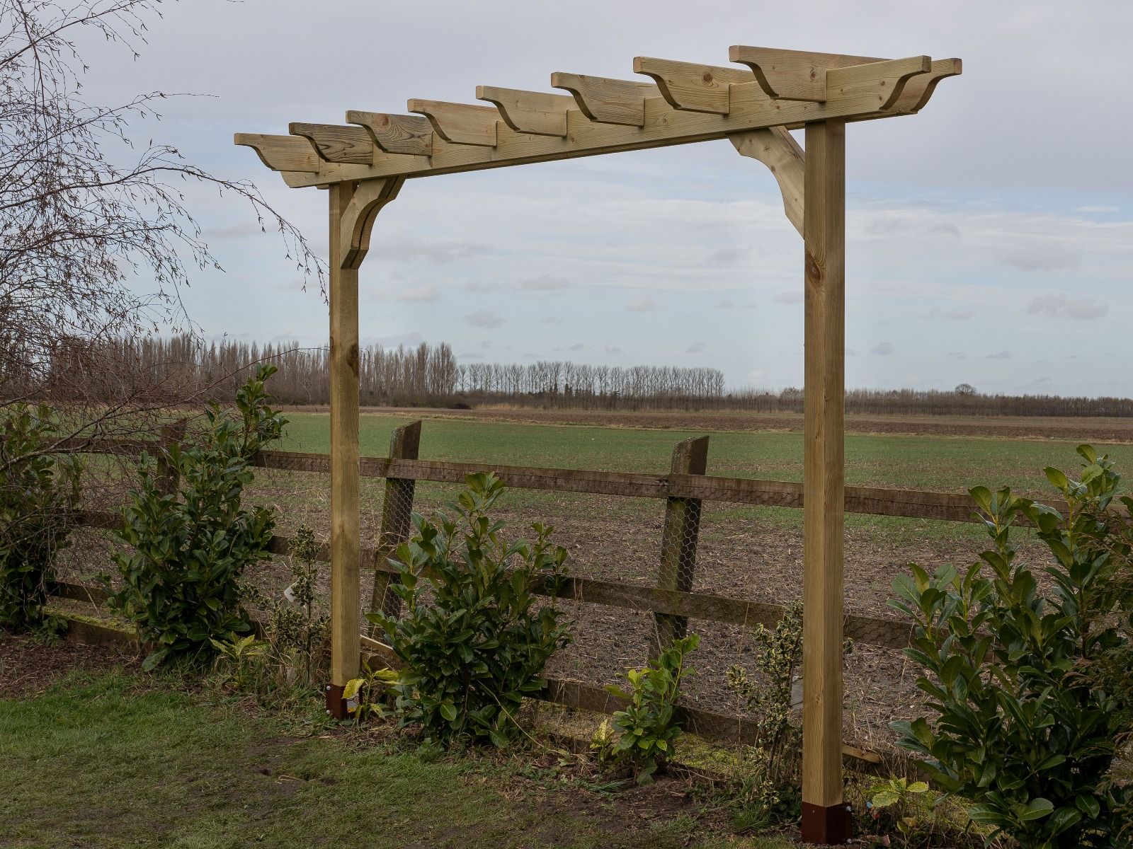 Sculpted Double Beam Pergola, Plant Climbing Arbour - Sculpted brace