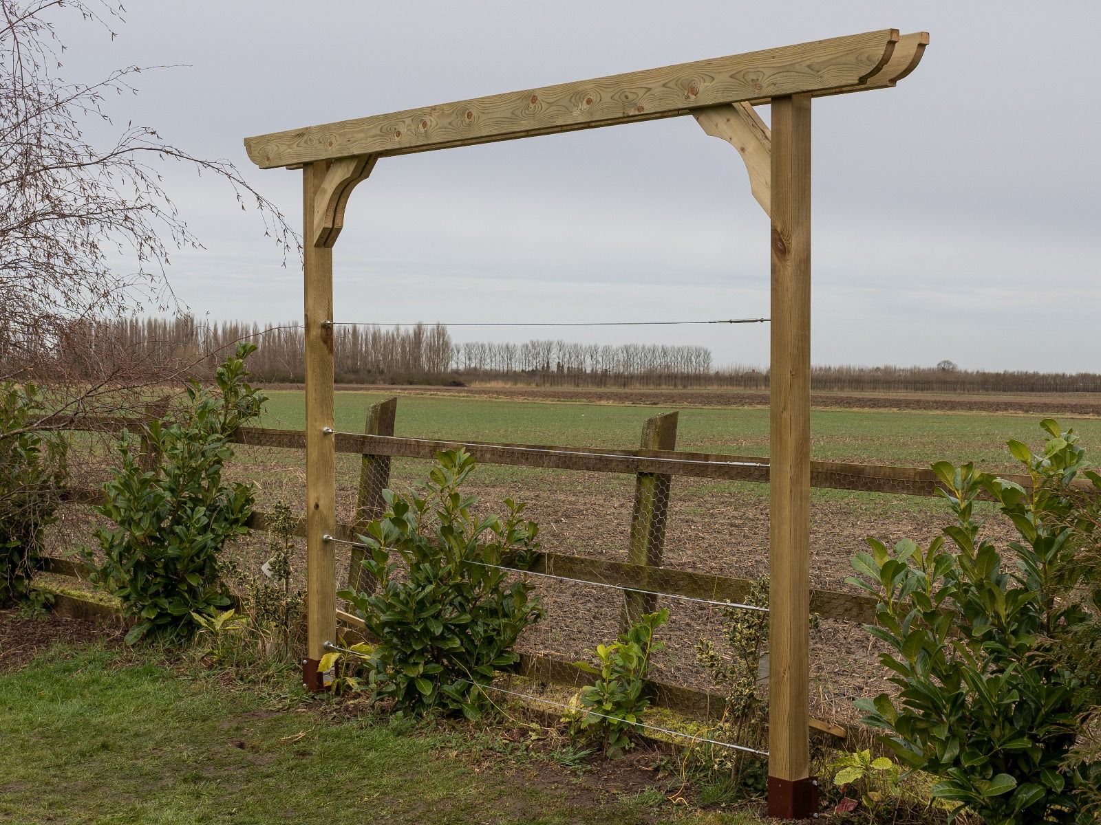 Screen Double Beam Pergola, Plant Climbing Arbour - Corbel Sculpted Brace